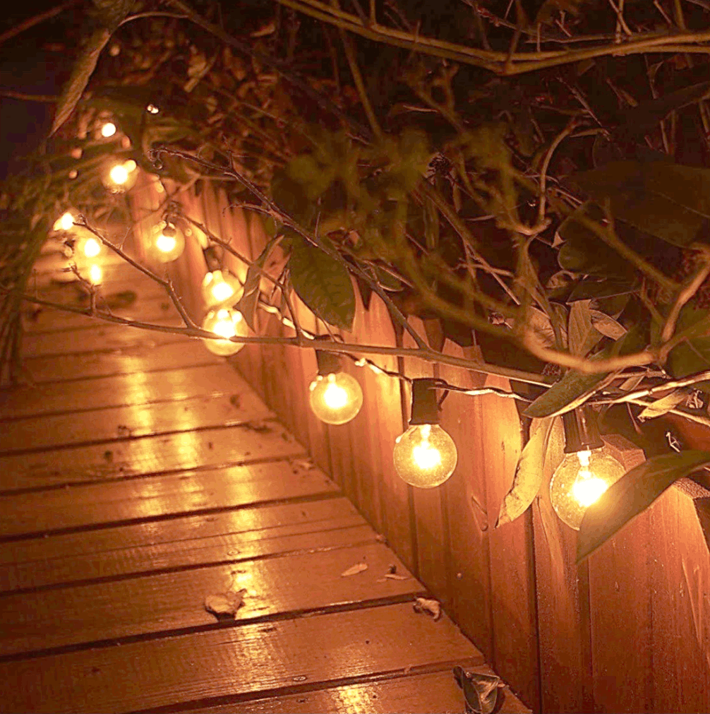 Festoon Lights